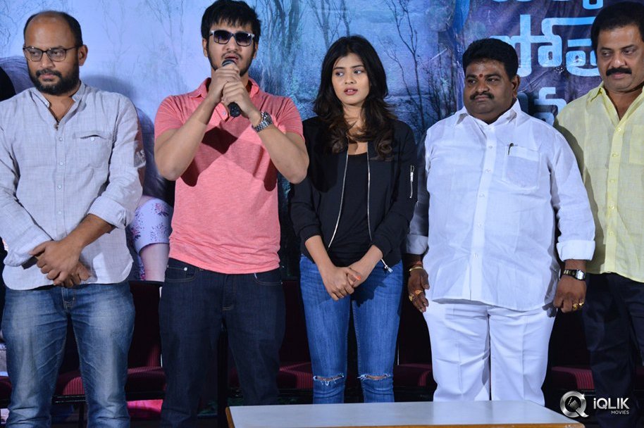 Ekkadiki-Pothavu-Chinnavada-Movie-Thanks-Meet